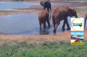 Imagen de vista previa de la cámara web Tsavo East National Park Kenya - Voi Wildlife Lodge